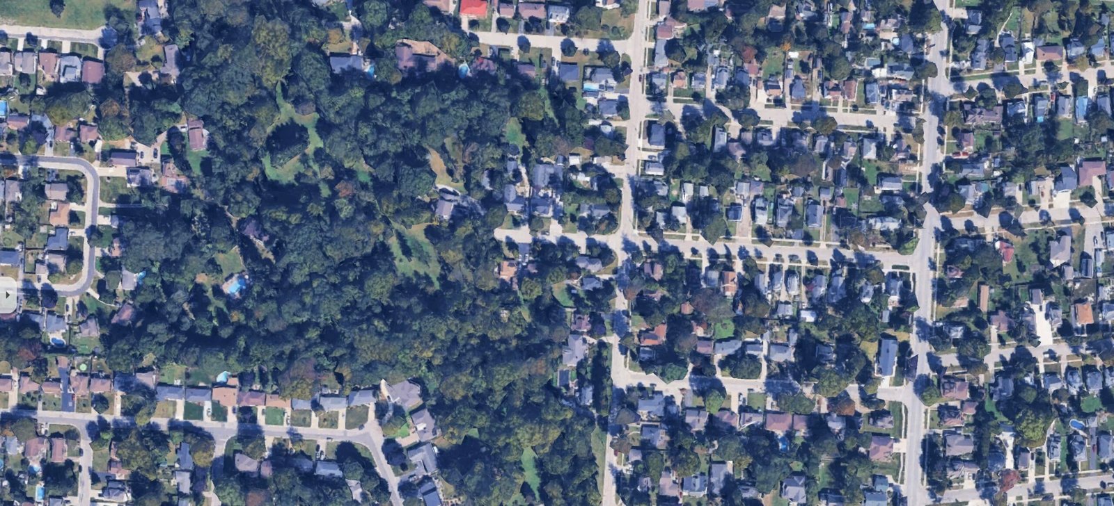 Why We’re Mapping Kingsville’s Trees